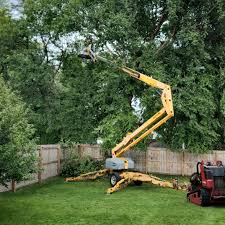 Best Lawn Mowing  in Buchanan, NY