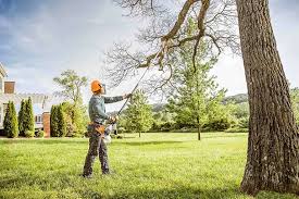 Best Tree Disease Treatment  in Buchanan, NY