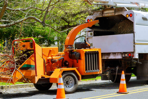 Lawn Drainage Solutions in Buchanan, NY